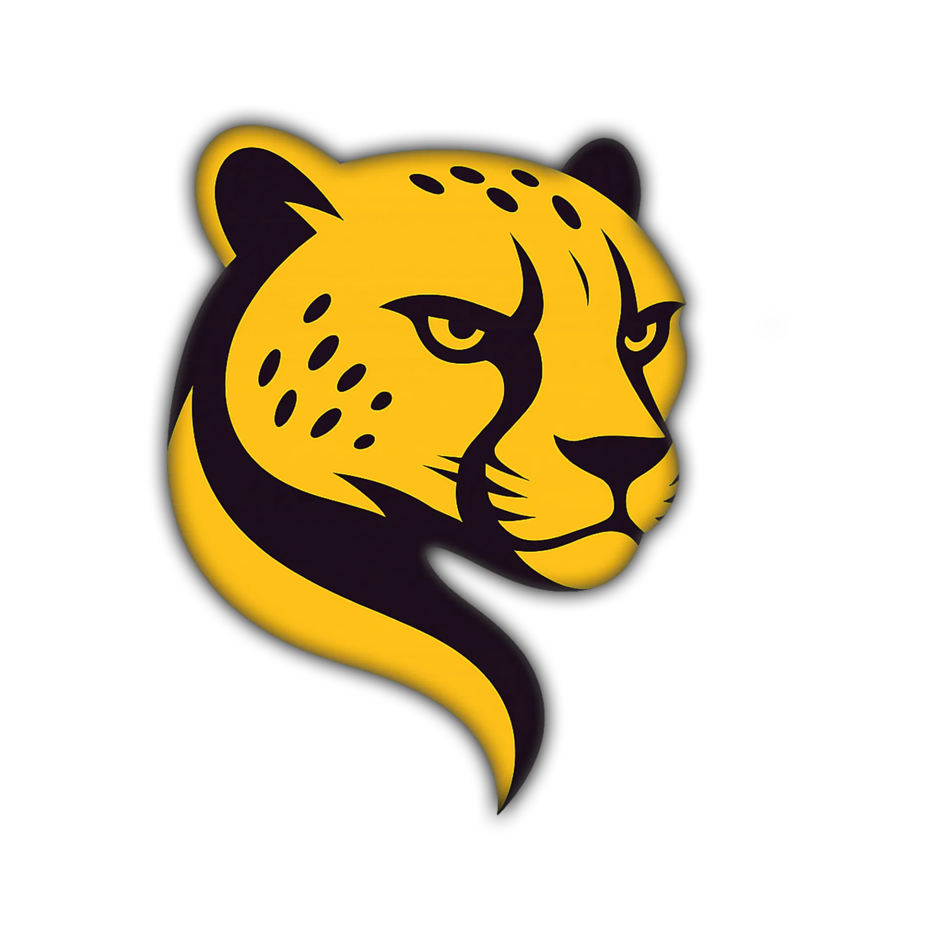 CHEETAH PRO TOOL