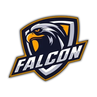 FALCON MULTI AUTH TOOL