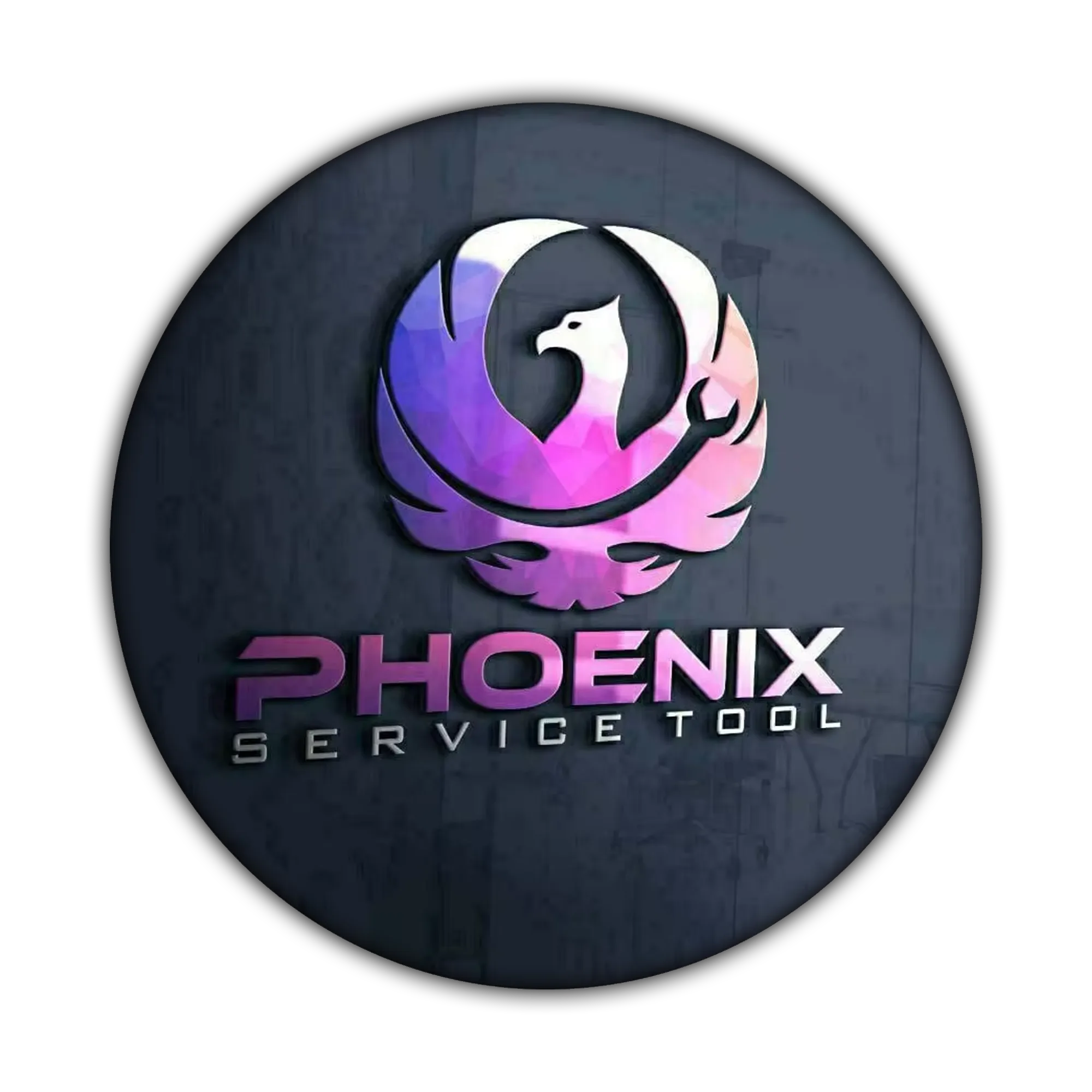PHOENIX SERVICE TOOL